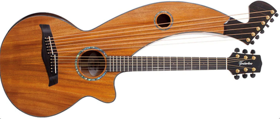 12-String Acoustic Auditorium Harp Guitars: A Comprehensive Guide to This Instrument