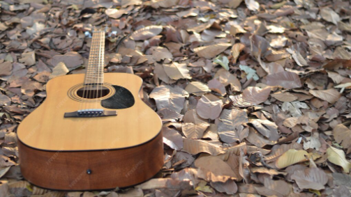12 String Acoustic Harp Guitar: Timberline Guitars Bring Extended Range to Modern Musicians