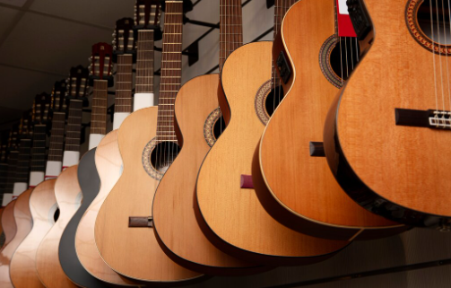 18 String Acoustic Harp Guitar: Timberline's Maximum Extended Range Instrument