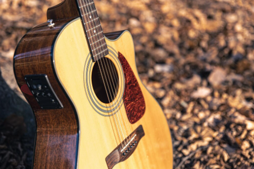 6 String Solid Wood Acoustic Guitars: Timberline's Commitment to Traditional Construction Excellence