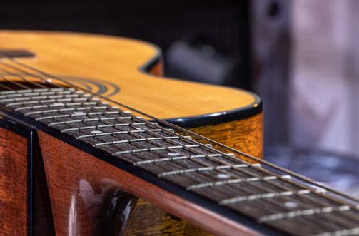 Auditorium Cutaway: Timberline's Balance of Size, Access, & Acoustic Performance