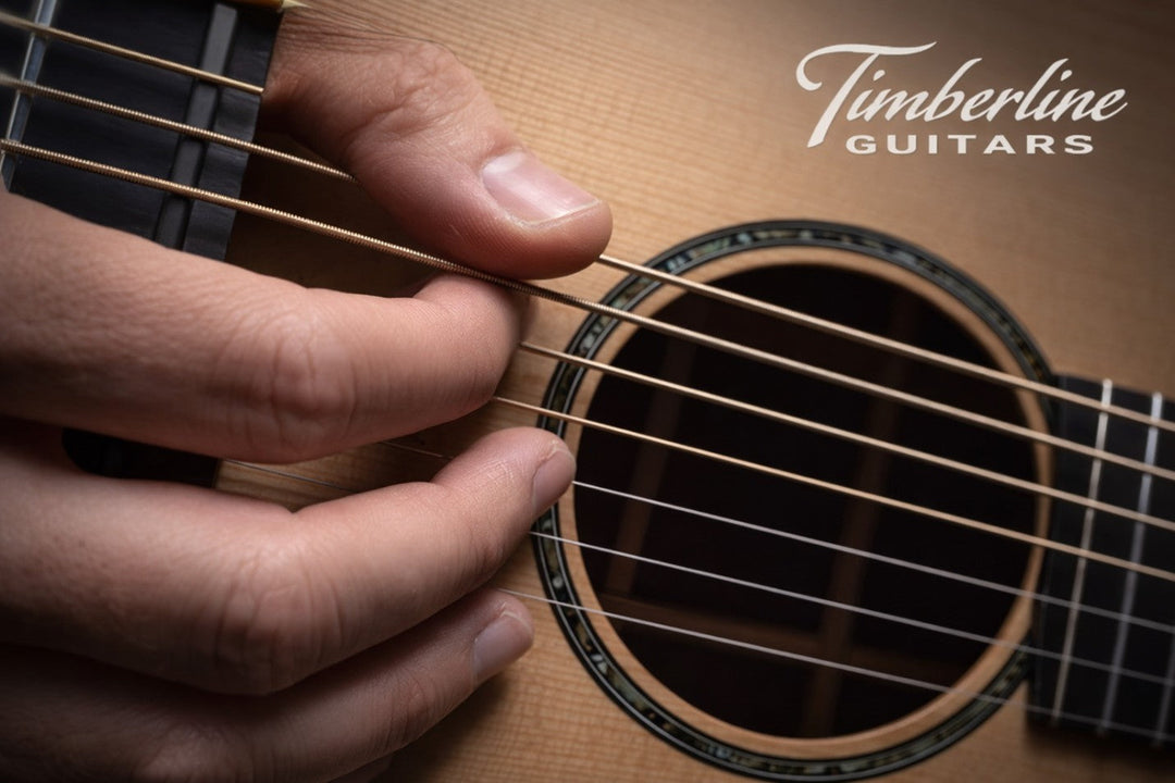 Essential Playing Techniques Every Harp Guitarist Should Master