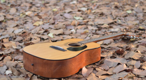 Florentine Cutaway: Timberline's Sharp-Angled Approach to Upper Fret Access