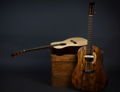 Macassar Ebony Guitar: Premium Wood for Serious Musicians
