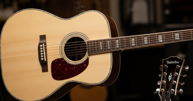 What Is a Dreadnought Guitar? Complete Beginner Guide