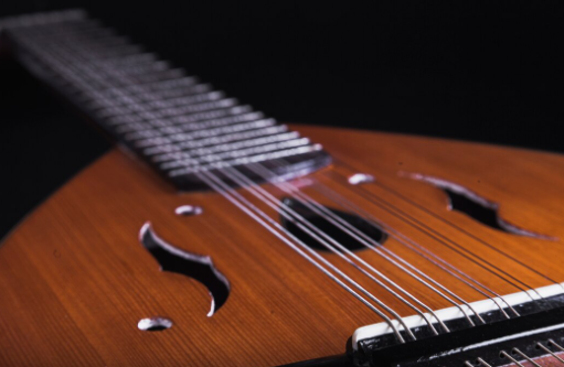 Why Macassar Ebony is a Premium Choice for Guitar Fingerboards