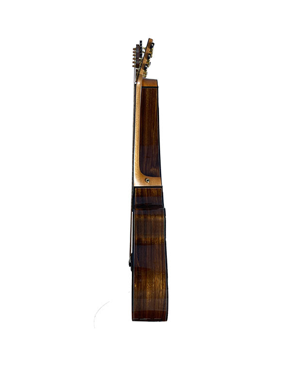 T70HGc Premium 100% Tropical Silkwood 12 String Full Sized Auditorium harp guitar with Maccssar ebony arm bevel, fretboard and bridge.