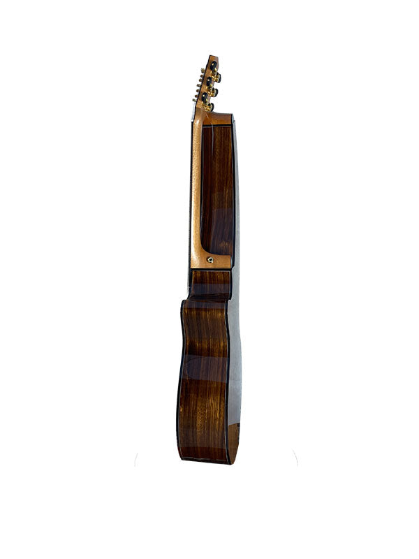 T70HGc Premium 100% Tropical Silkwood 12 String Full Sized Auditorium harp guitar with Maccssar ebony arm bevel, fretboard and bridge.