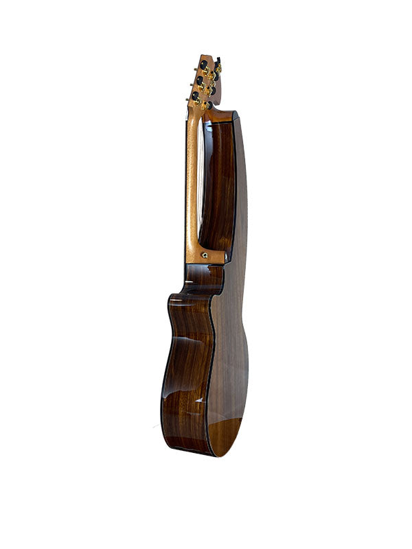 T70HGc Premium 100% Tropical Silkwood 12 String Full Sized Auditorium harp guitar with Maccssar ebony arm bevel, fretboard and bridge.