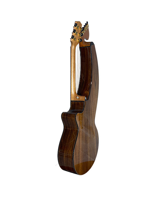T70HGc Premium 100% Tropical Silkwood 12 String Full Sized Auditorium harp guitar with Maccssar ebony arm bevel, fretboard and bridge.
