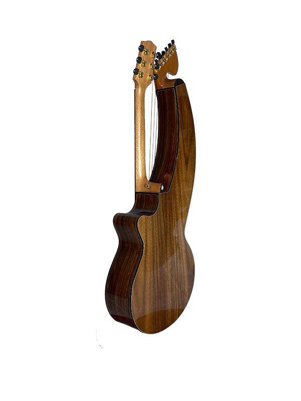 T70HGc Premium 100% Tropical Silkwood 12 String Full Sized Auditorium harp guitar with Maccssar ebony arm bevel, fretboard and bridge.
