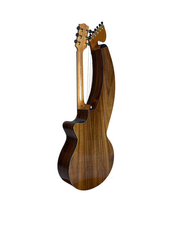 T70HGc Premium 100% Tropical Silkwood 12 String Full Sized Auditorium harp guitar with Maccssar ebony arm bevel, fretboard and bridge.