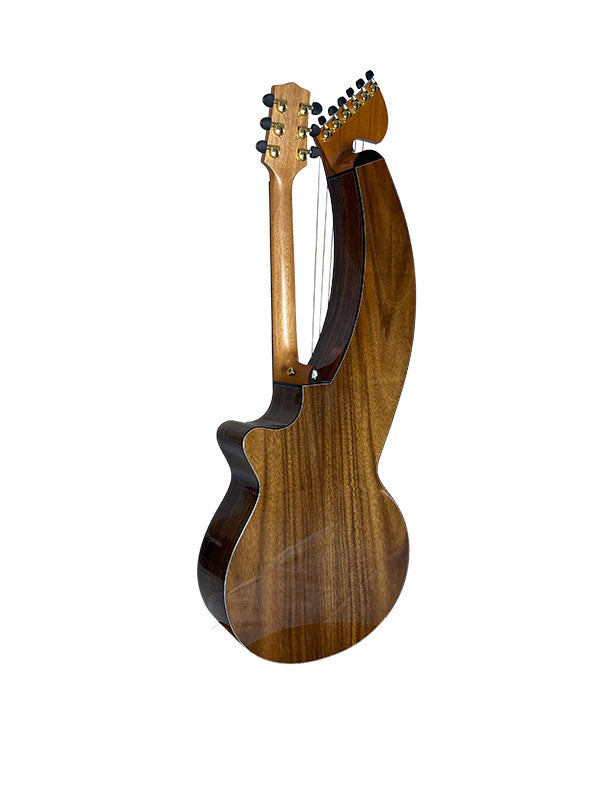 T70HGc Premium 100% Tropical Silkwood 12 String Full Sized Auditorium harp guitar with Maccssar ebony arm bevel, fretboard and bridge.