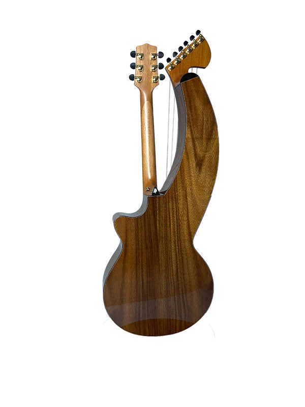 T70HGc Premium 100% Tropical Silkwood 12 String Full Sized Auditorium harp guitar with Maccssar ebony arm bevel, fretboard and bridge.