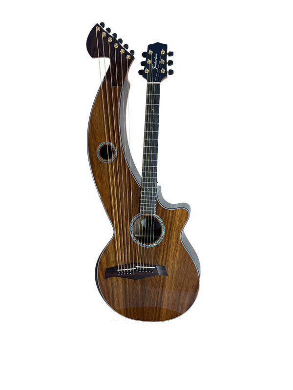 T70HGc Premium 100% Tropical Silkwood 12 String Full Sized Auditorium harp guitar with Maccssar ebony arm bevel, fretboard and bridge.