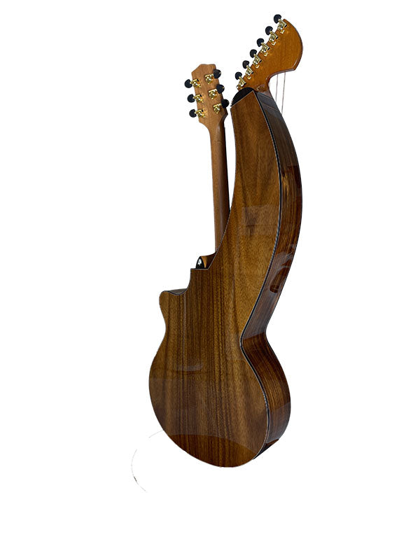 T70HGc Premium 100% Tropical Silkwood 12 String Full Sized Auditorium harp guitar with Maccssar ebony arm bevel, fretboard and bridge.
