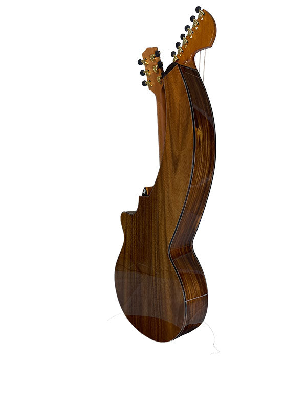 T70HGc Premium 100% Tropical Silkwood 12 String Full Sized Auditorium harp guitar with Maccssar ebony arm bevel, fretboard and bridge.