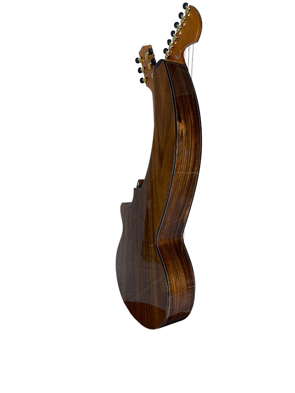 T70HGc Premium 100% Tropical Silkwood 12 String Full Sized Auditorium harp guitar with Maccssar ebony arm bevel, fretboard and bridge.