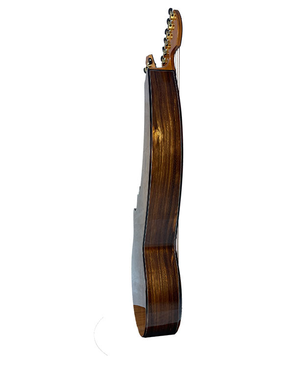 T70HGc Premium 100% Tropical Silkwood 12 String Full Sized Auditorium harp guitar with Maccssar ebony arm bevel, fretboard and bridge.