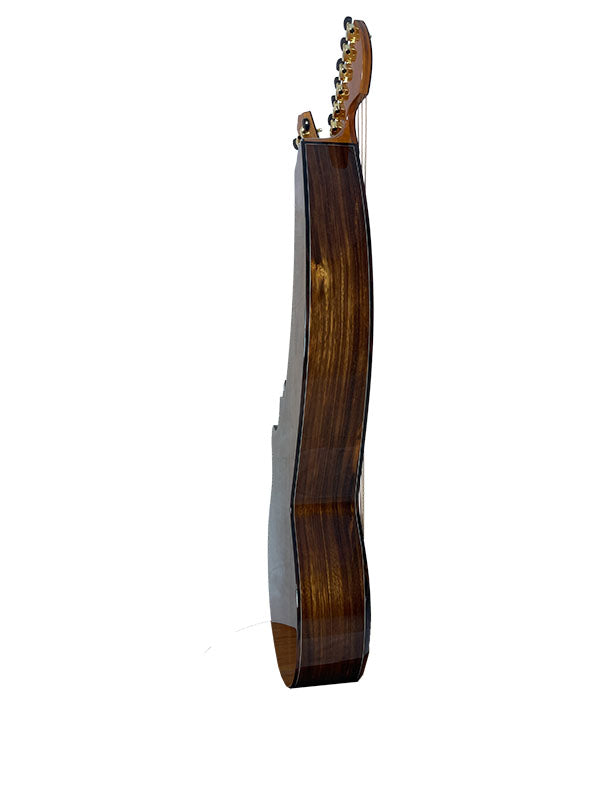 T70HGc Premium 100% Tropical Silkwood 12 String Full Sized Auditorium harp guitar with Maccssar ebony arm bevel, fretboard and bridge.