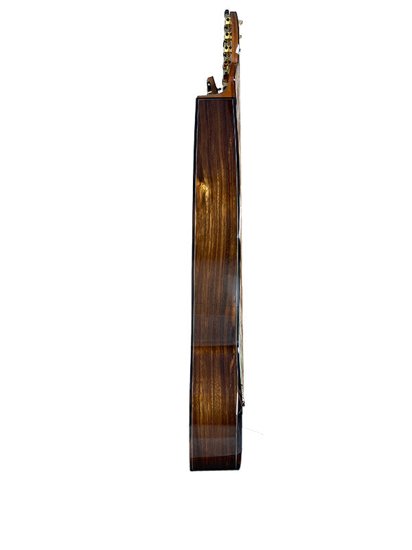 T70HGc Premium 100% Tropical Silkwood 12 String Full Sized Auditorium harp guitar with Maccssar ebony arm bevel, fretboard and bridge.
