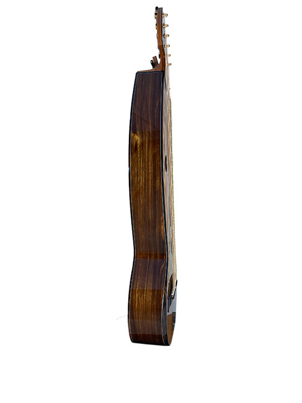 T70HGc Premium 100% Tropical Silkwood 12 String Full Sized Auditorium harp guitar with Maccssar ebony arm bevel, fretboard and bridge.