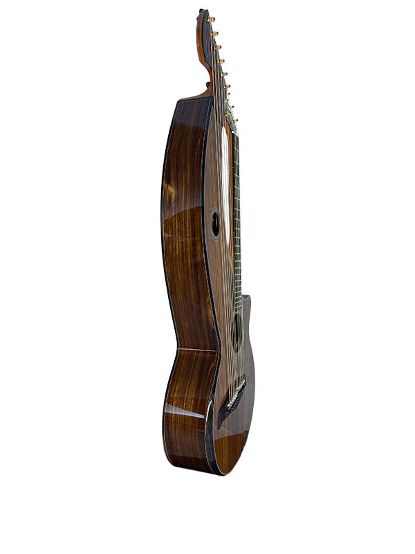 T70HGc Premium 100% Tropical Silkwood 12 String Full Sized Auditorium harp guitar with Maccssar ebony arm bevel, fretboard and bridge.