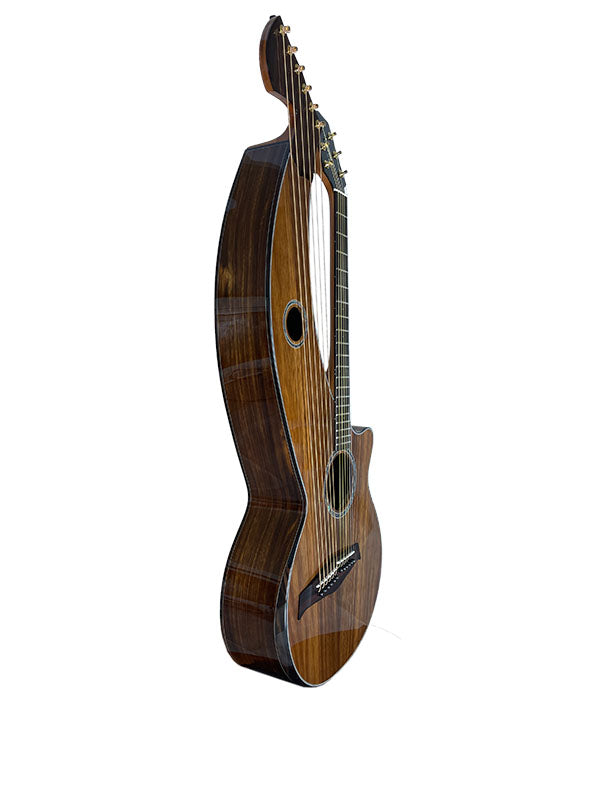 T70HGc Premium 100% Tropical Silkwood 12 String Full Sized Auditorium harp guitar with Maccssar ebony arm bevel, fretboard and bridge.