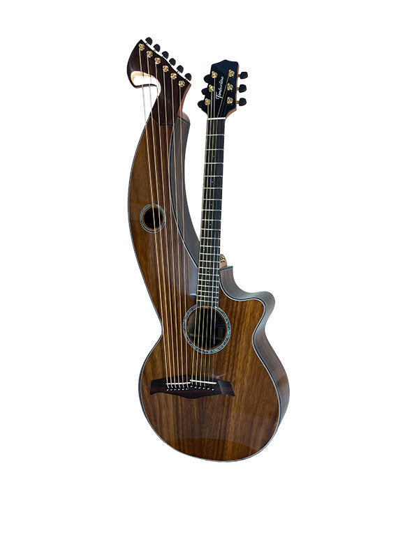 T70HGc Premium 100% Tropical Silkwood 12 String Full Sized Auditorium harp guitar with Maccssar ebony arm bevel, fretboard and bridge.