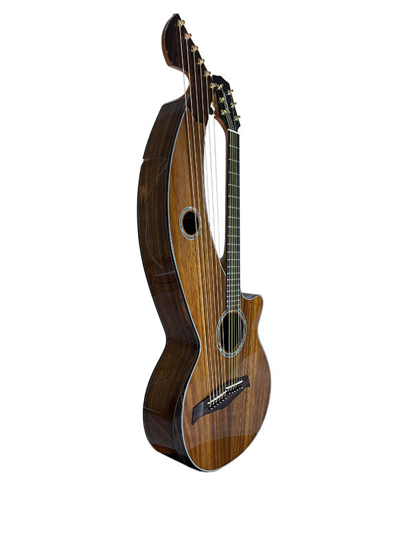T70HGc Premium 100% Tropical Silkwood 12 String Full Sized Auditorium harp guitar with Maccssar ebony arm bevel, fretboard and bridge.