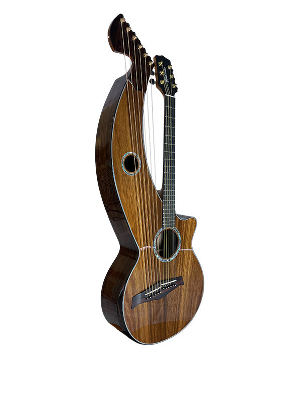T70HGc Premium 100% Tropical Silkwood 12 String Full Sized Auditorium harp guitar with Maccssar ebony arm bevel, fretboard and bridge.