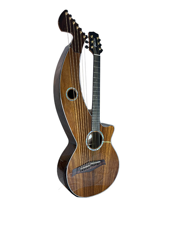 T70HGc Premium 100% Tropical Silkwood 12 String Full Sized Auditorium harp guitar with Maccssar ebony arm bevel, fretboard and bridge.