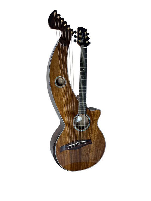 T70HGc Premium 100% Tropical Silkwood 12 String Full Sized Auditorium harp guitar with Maccssar ebony arm bevel, fretboard and bridge.