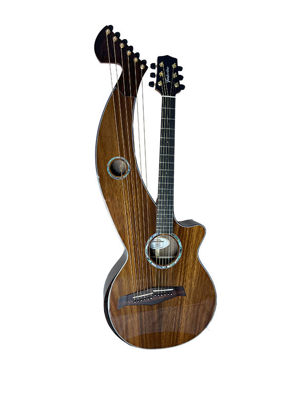 T70HGc Premium 100% Tropical Silkwood 12 String Full Sized Auditorium harp guitar with Maccssar ebony arm bevel, fretboard and bridge.