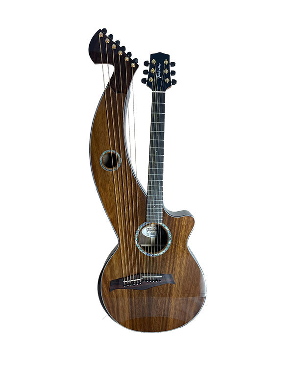 T70HGc Premium 100% Tropical Silkwood 12 String Full Sized Auditorium harp guitar with Maccssar ebony arm bevel, fretboard and bridge.