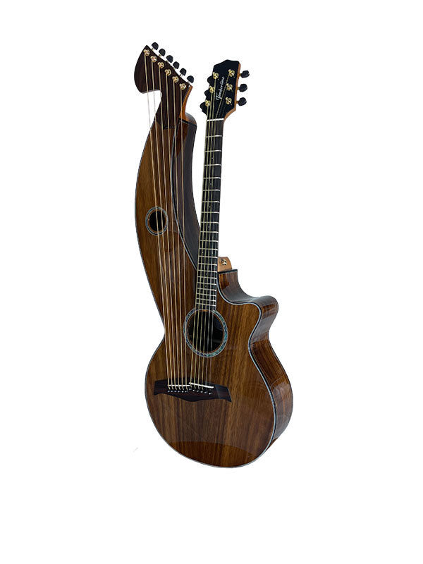 T70HGc Premium 100% Tropical Silkwood 12 String Full Sized Auditorium harp guitar with Maccssar ebony arm bevel, fretboard and bridge.