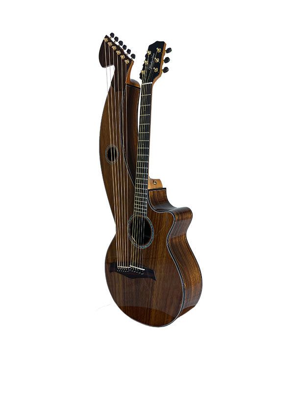 T70HGc Premium 100% Tropical Silkwood 12 String Full Sized Auditorium harp guitar with Maccssar ebony arm bevel, fretboard and bridge.