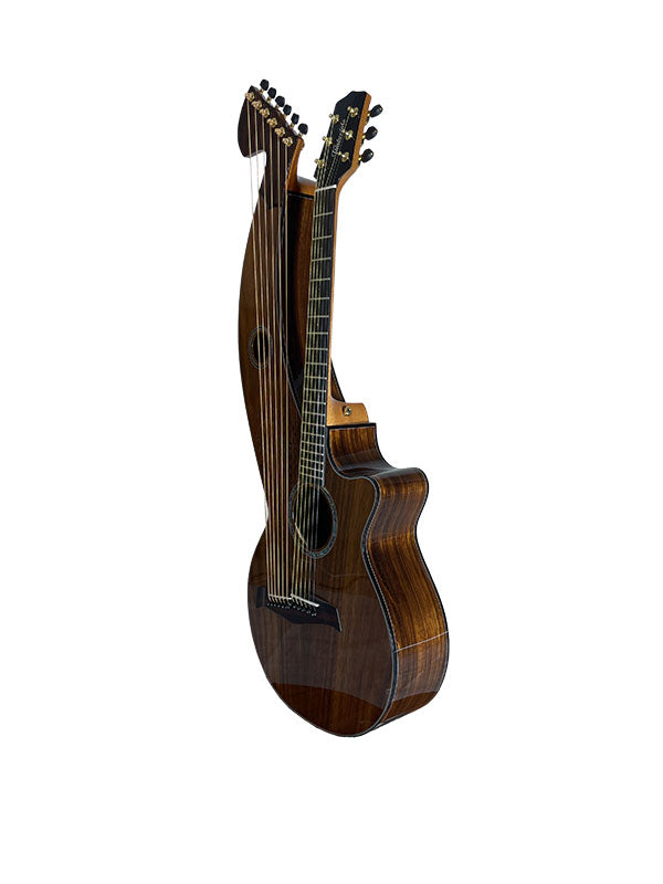 T70HGc Premium 100% Tropical Silkwood 12 String Full Sized Auditorium harp guitar with Maccssar ebony arm bevel, fretboard and bridge.
