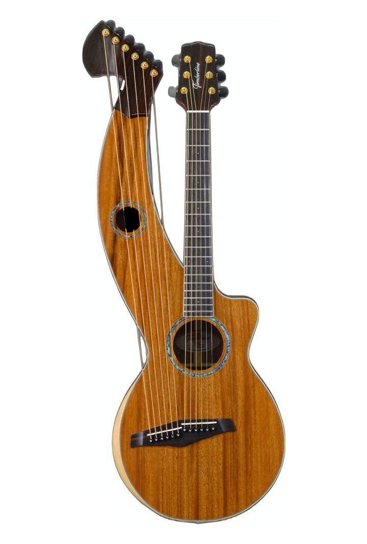 T60HGpc Premium 100% Tropical Acacia 12 String Parlor sized harp guitar with white Tamarind arm bevel and ebony fretboard and bridge.