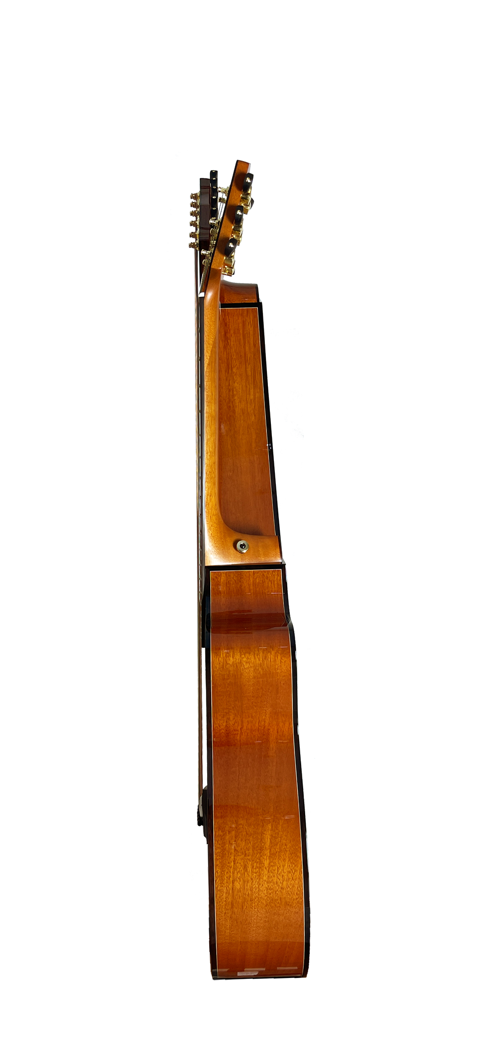 T30HGpc Premium 100% Tropical Mahogany 12 String Parlor sized harp guitar with ebony fretboard, arm bevel and bridge.