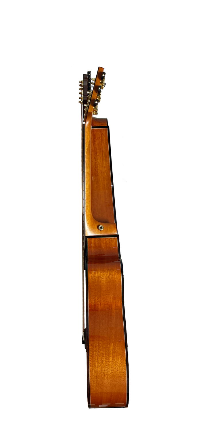 T30HGpc Premium 100% Tropical Mahogany 12 String Parlor sized harp guitar with ebony fretboard, arm bevel and bridge.