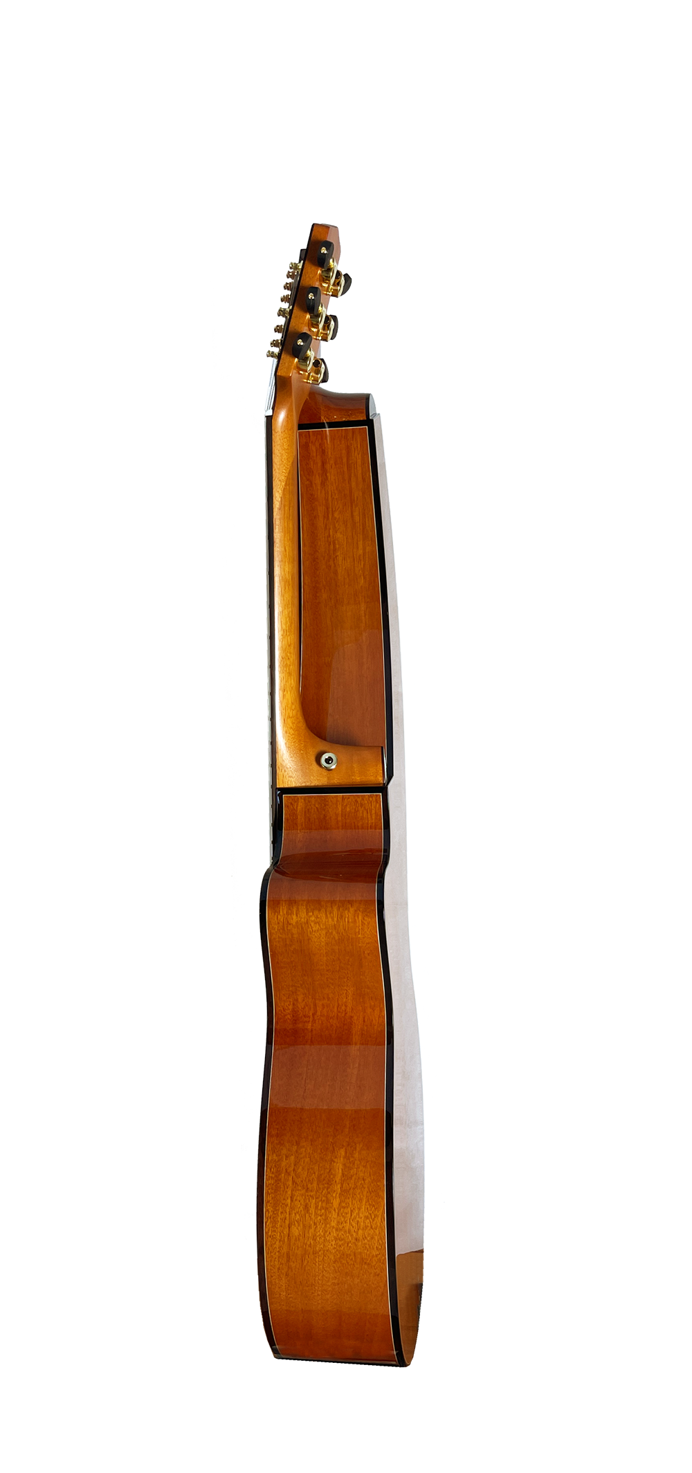 T30HGpc Premium 100% Tropical Mahogany 12 String Parlor sized harp guitar with ebony fretboard, arm bevel and bridge.