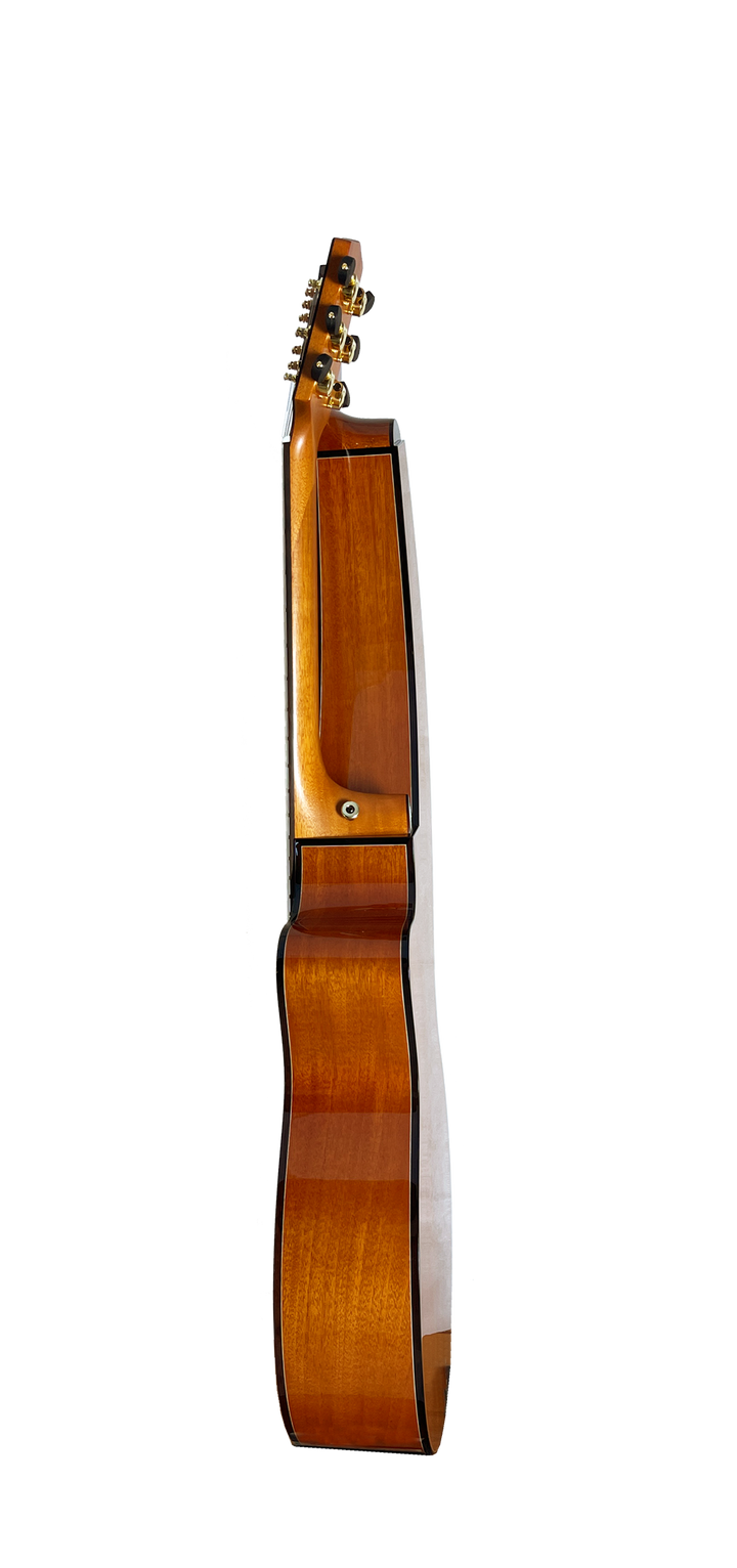 T30HGpc Premium 100% Tropical Mahogany 12 String Parlor sized harp guitar with ebony fretboard, arm bevel and bridge.