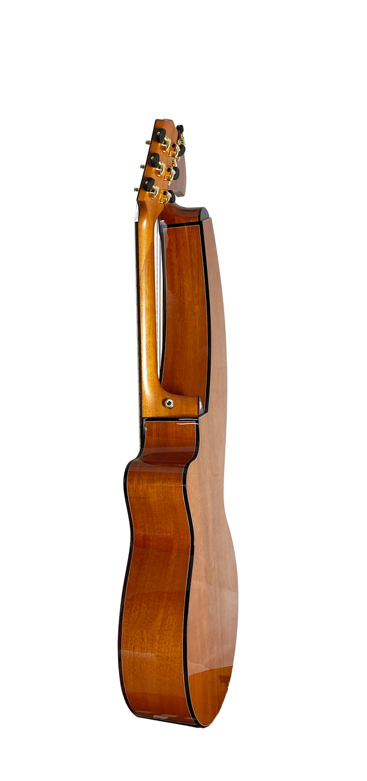T30HGpc Premium 100% Tropical Mahogany 12 String Parlor sized harp guitar with ebony fretboard, arm bevel and bridge.
