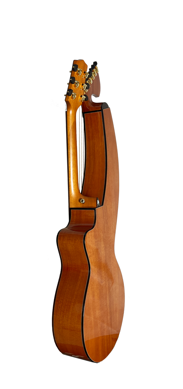 T30HGpc Premium 100% Tropical Mahogany 12 String Parlor sized harp guitar with ebony fretboard, arm bevel and bridge.