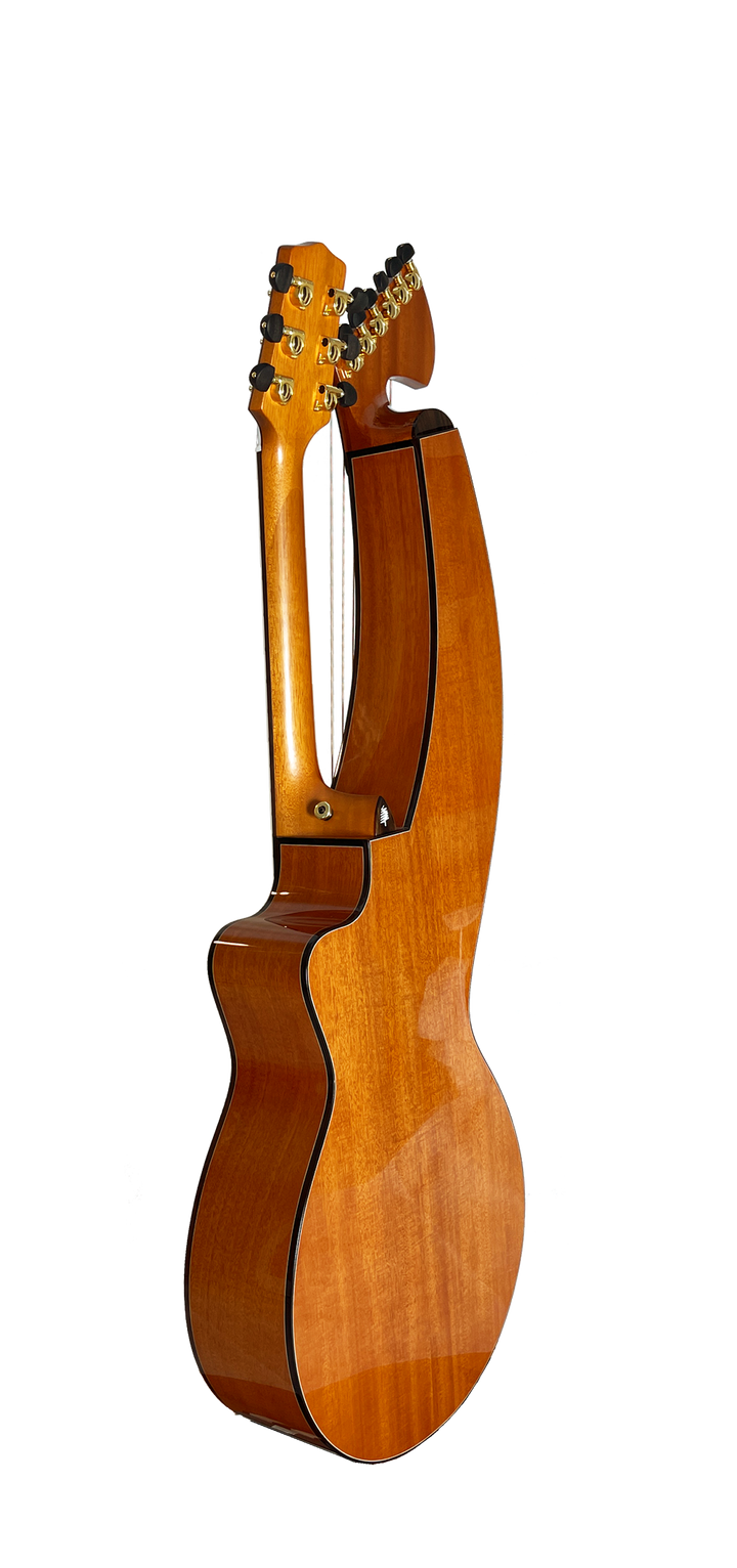 T30HGpc Premium 100% Tropical Mahogany 12 String Parlor sized harp guitar with ebony fretboard, arm bevel and bridge.