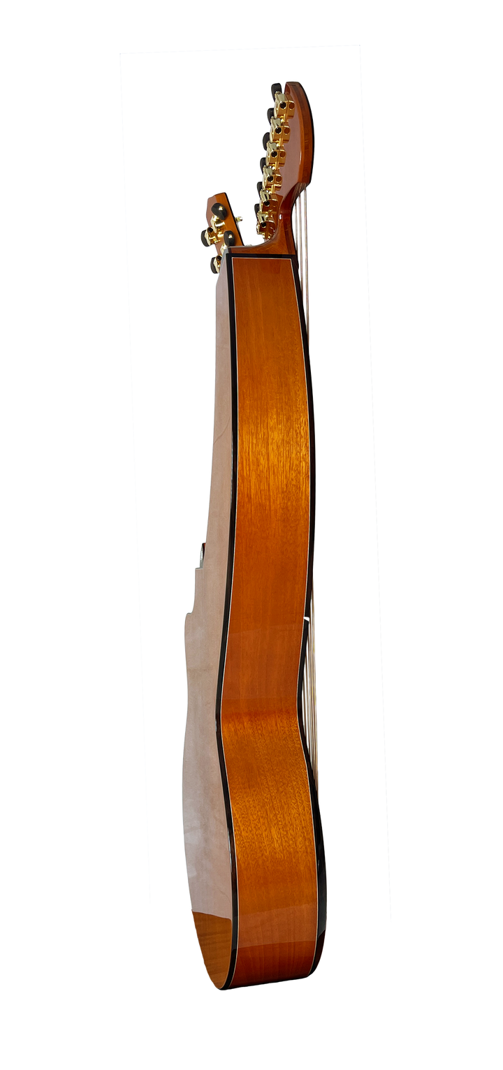 T30HGpc Premium 100% Tropical Mahogany 12 String Parlor sized harp guitar with ebony fretboard, arm bevel and bridge.