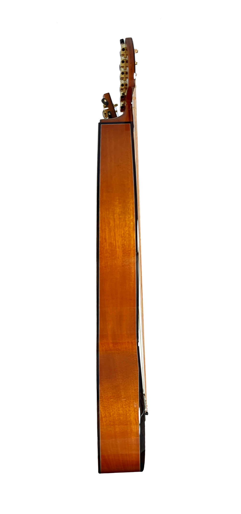 T30HGpc Premium 100% Tropical Mahogany 12 String Parlor sized harp guitar with ebony fretboard, arm bevel and bridge.