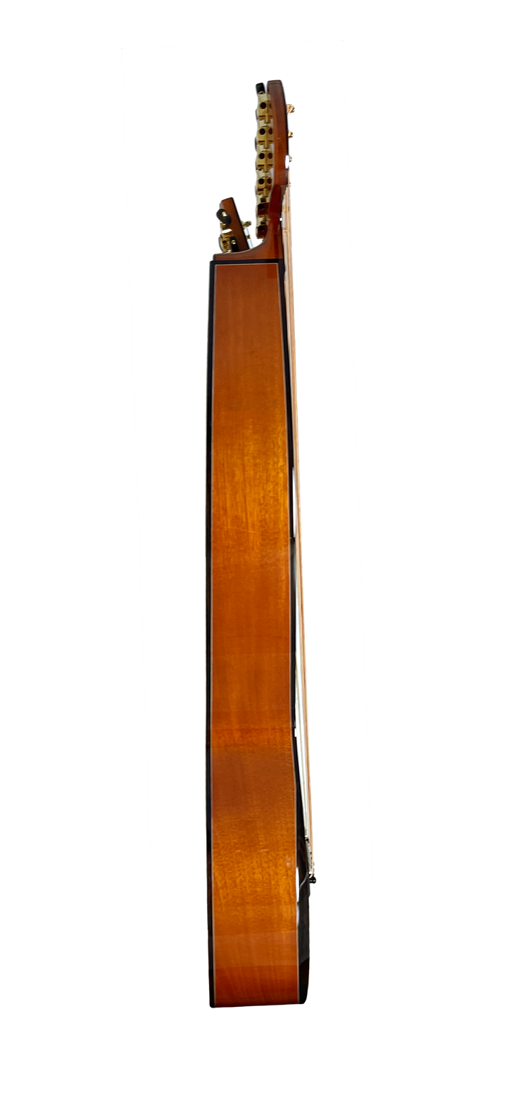 T30HGpc Premium 100% Tropical Mahogany 12 String Parlor sized harp guitar with ebony fretboard, arm bevel and bridge.