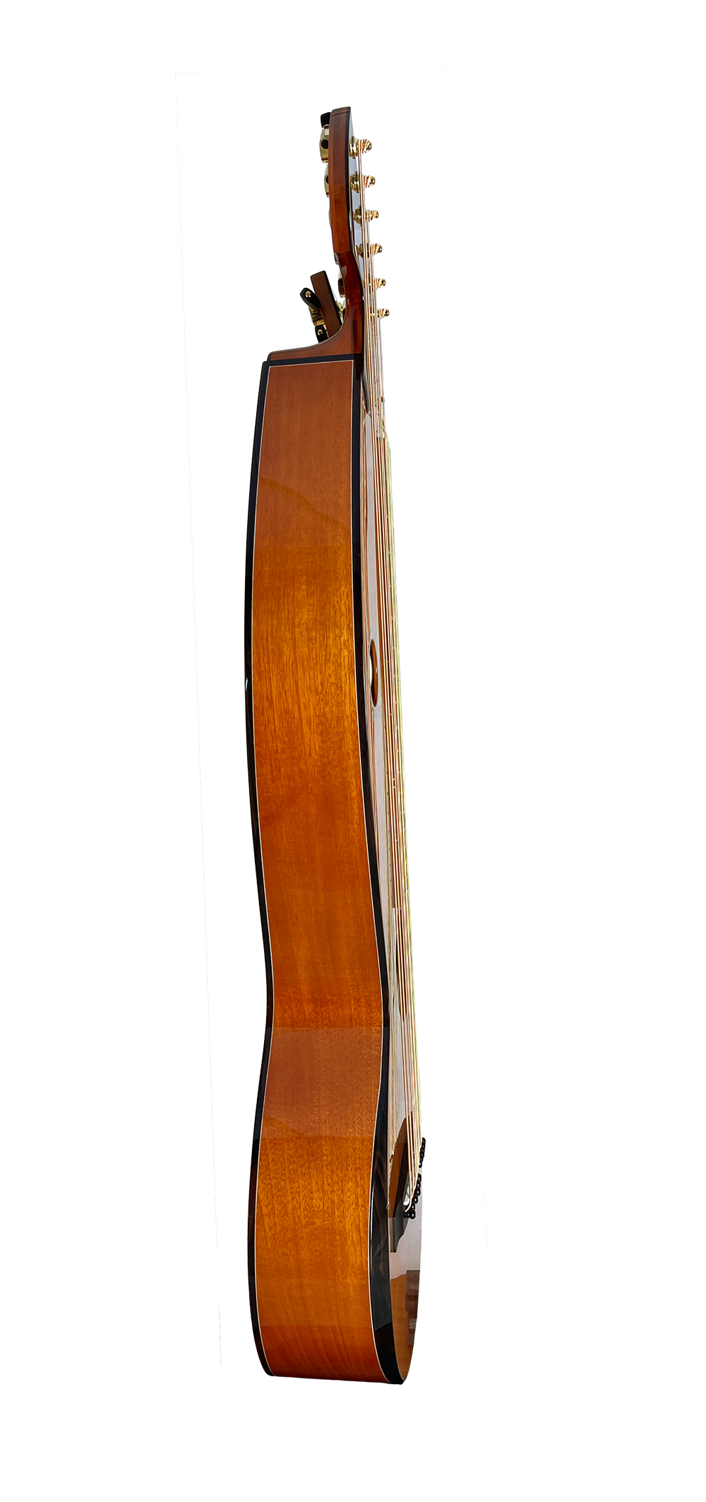 T30HGpc Premium 100% Tropical Mahogany 12 String Parlor sized harp guitar with ebony fretboard, arm bevel and bridge.
